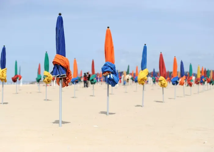 The Golden Triangle 多维尔